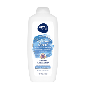 Vital Farcom Σαμπουάν Με Ginger Extract 1000ml